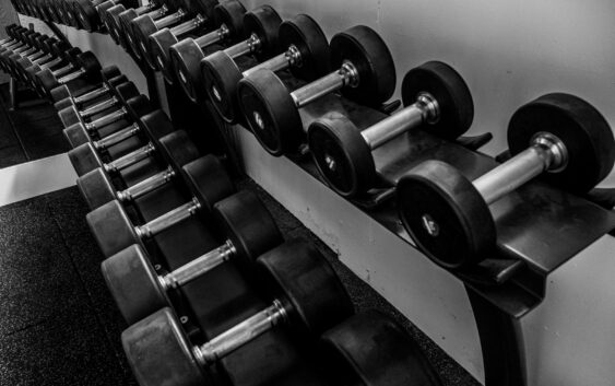 black and silver dumbbells on black steel rack